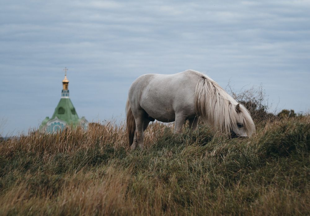 Photograph by Анатолий Щербак