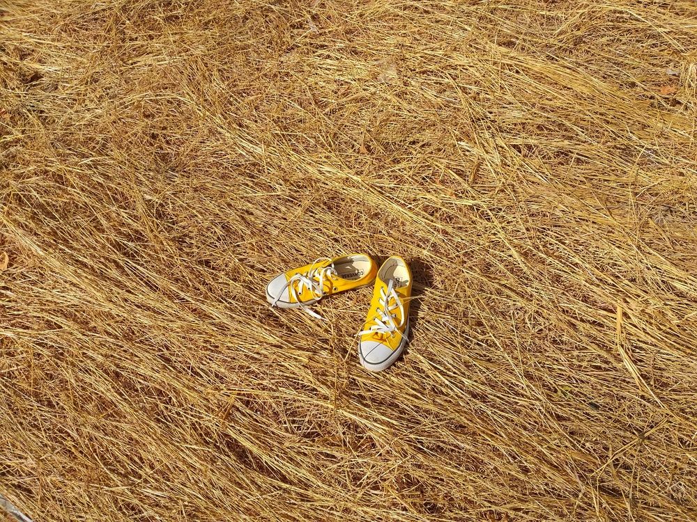 Photograph by Leni Tangmau