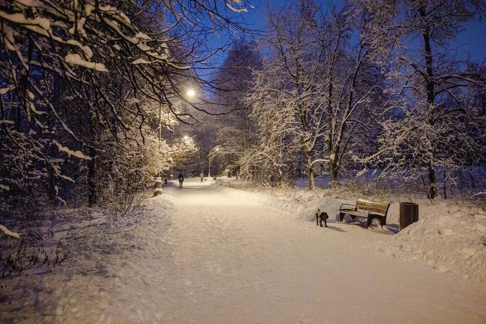 Фотография автора Елена Запертова