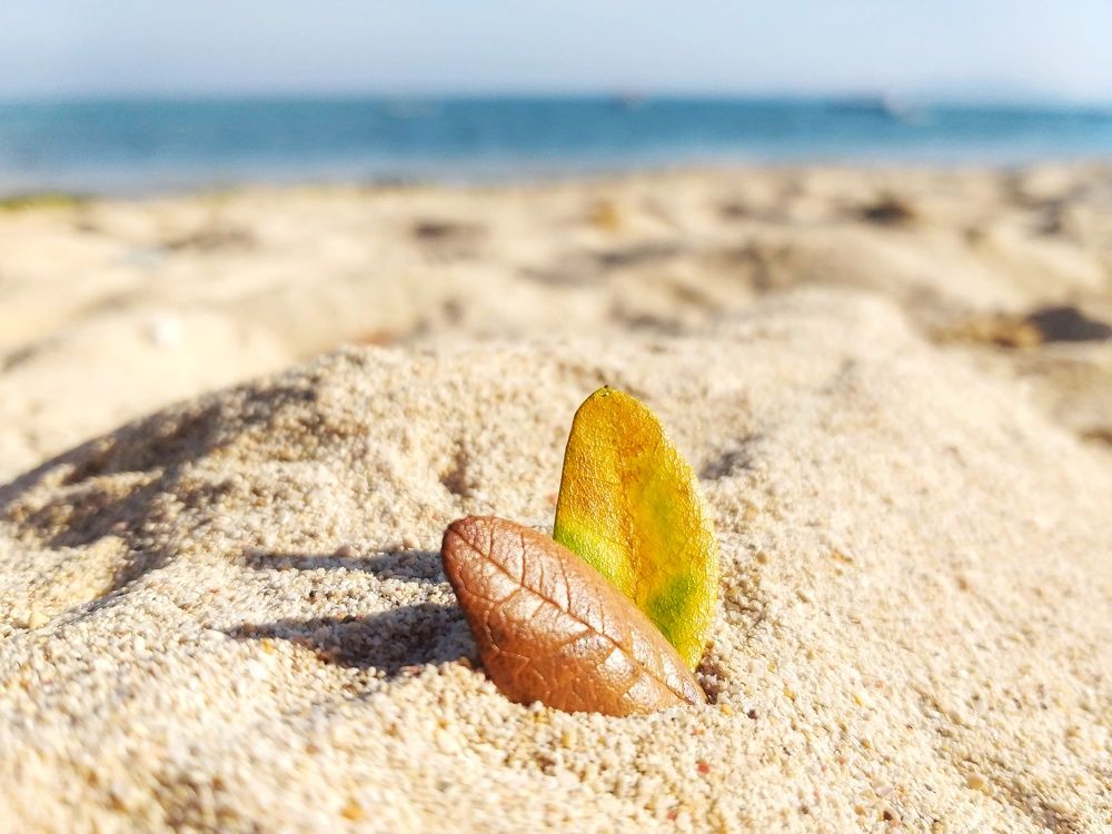 Photograph by Leni Tangmau