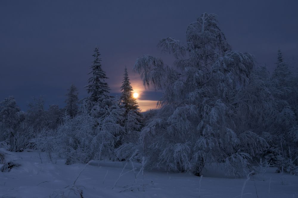 Photograph by Андрей Шарапов