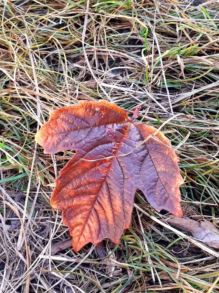 Photograph by Евгения Ульянова