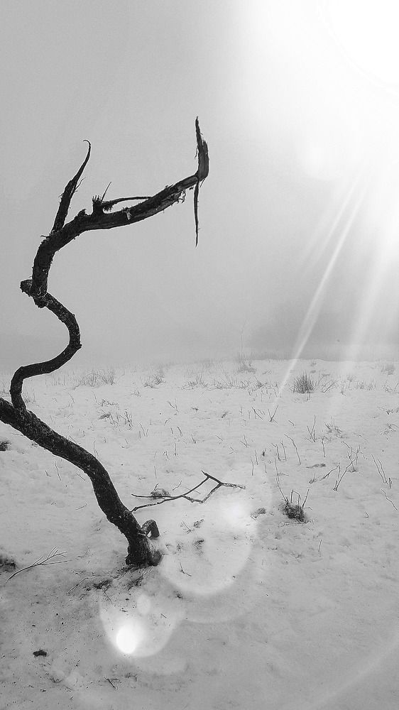 Photograph by Юлия Шмидт