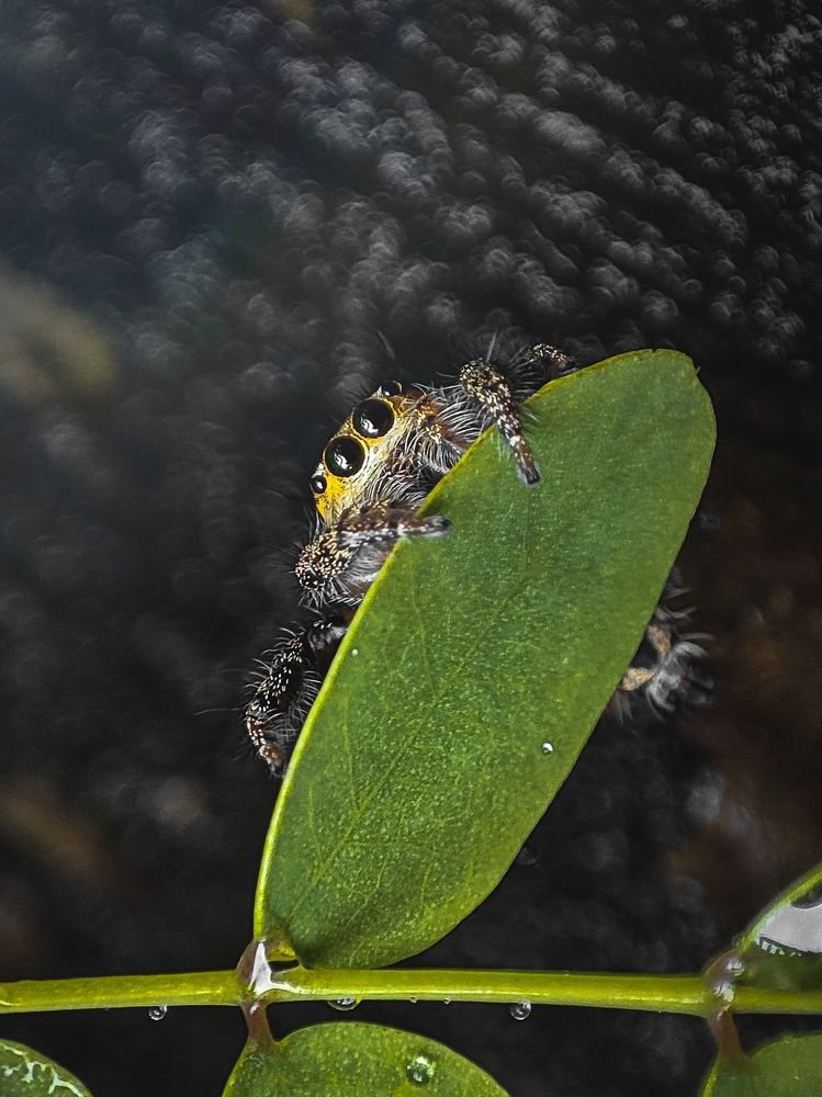 Photograph by Venkatesh r Kamath