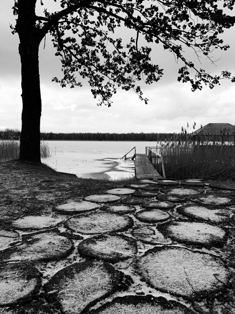 Photograph by Мирослава