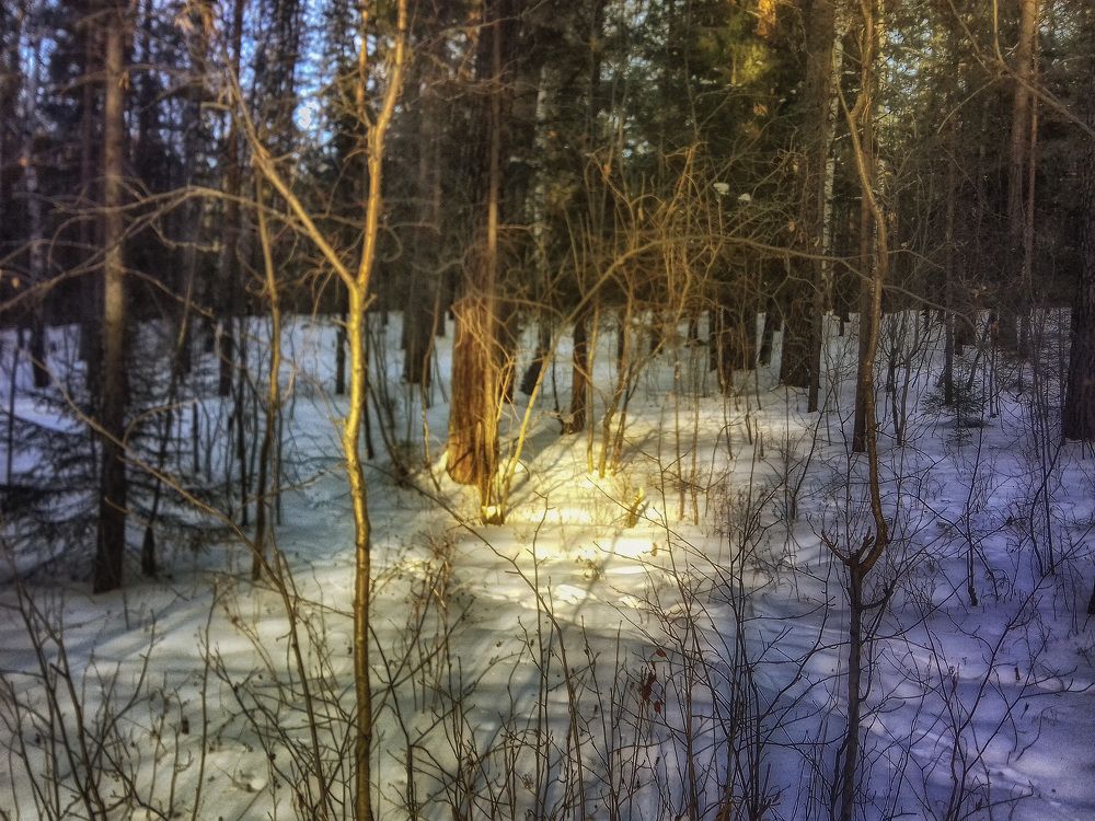 Photograph by Ксения Бочкова