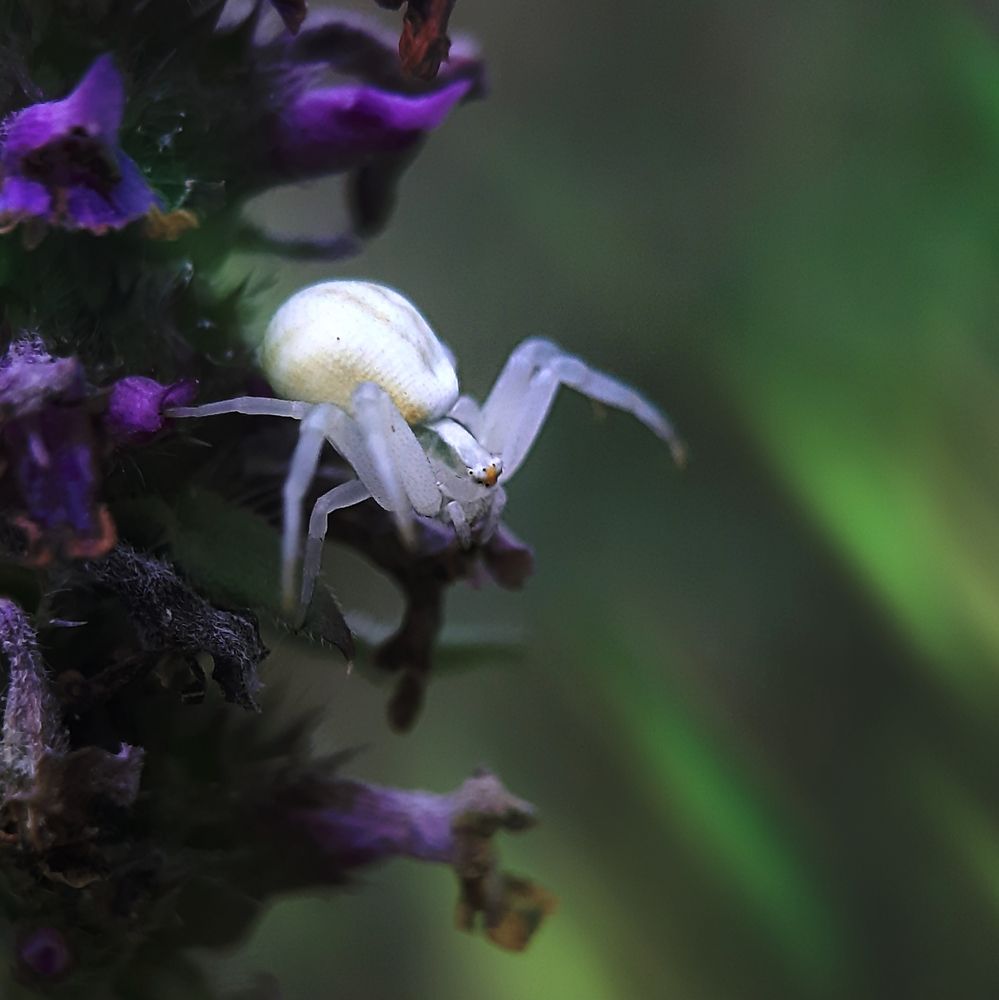 Photograph by Юлия Быкова