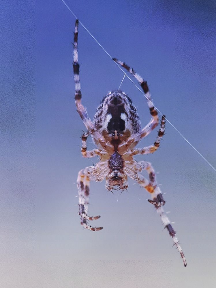 Photograph by Юлия Быкова