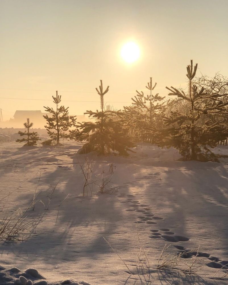 Photograph by Лариса