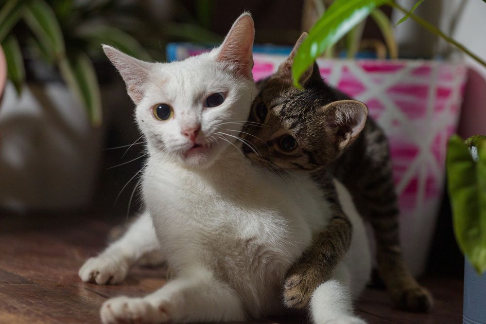 Photograph by Дмитрий Грошиков