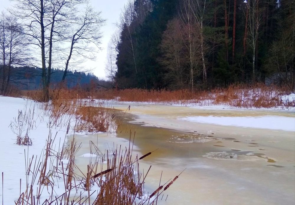 Фотография автора Анжелика Чашинская