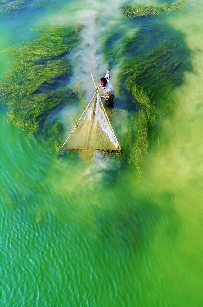 Photograph by Shafiul Islam Md