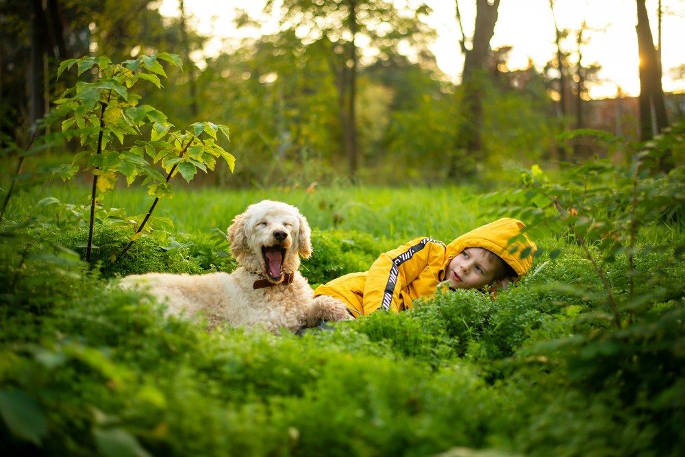 Photograph by Запылаева Анна