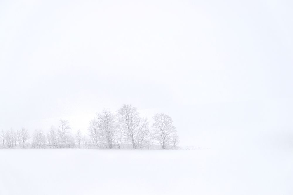 Photograph by Andrea Šrotová