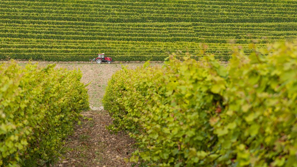 Photograph by Руслан Пелин