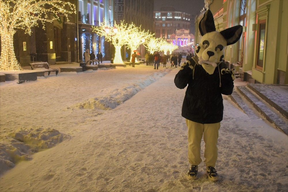 Photograph by Сергей Иванович Носов