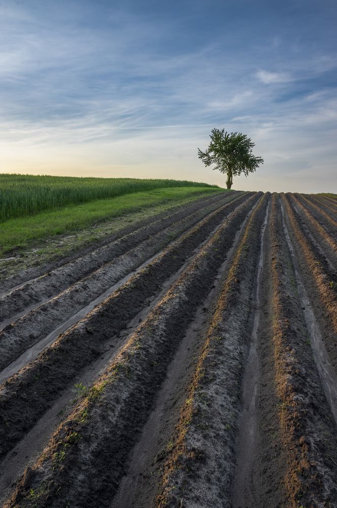 Устремленность