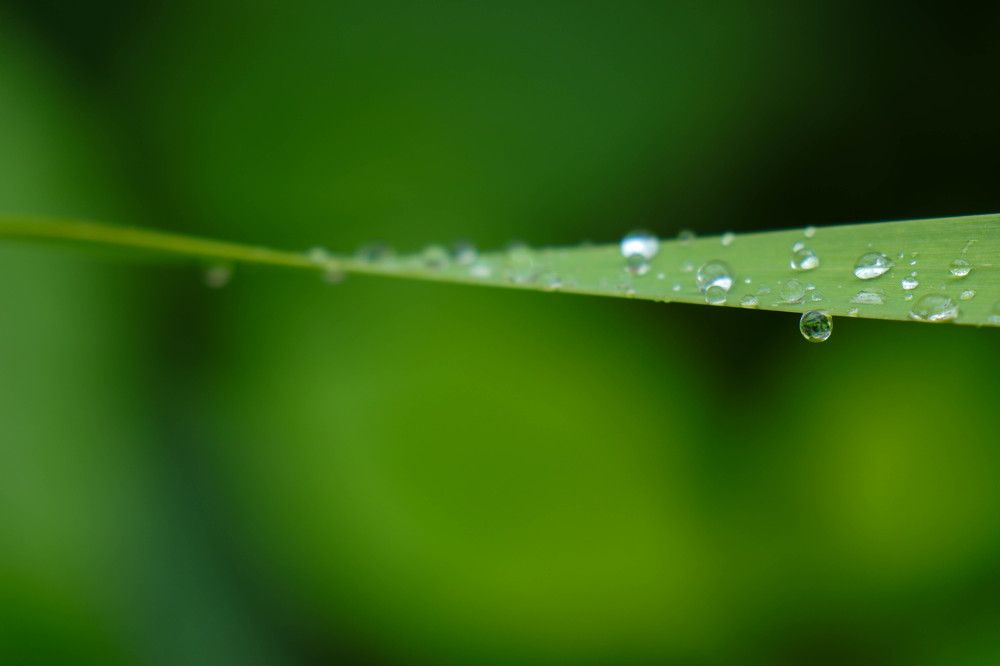 Photograph by Екатерина Воробьева
