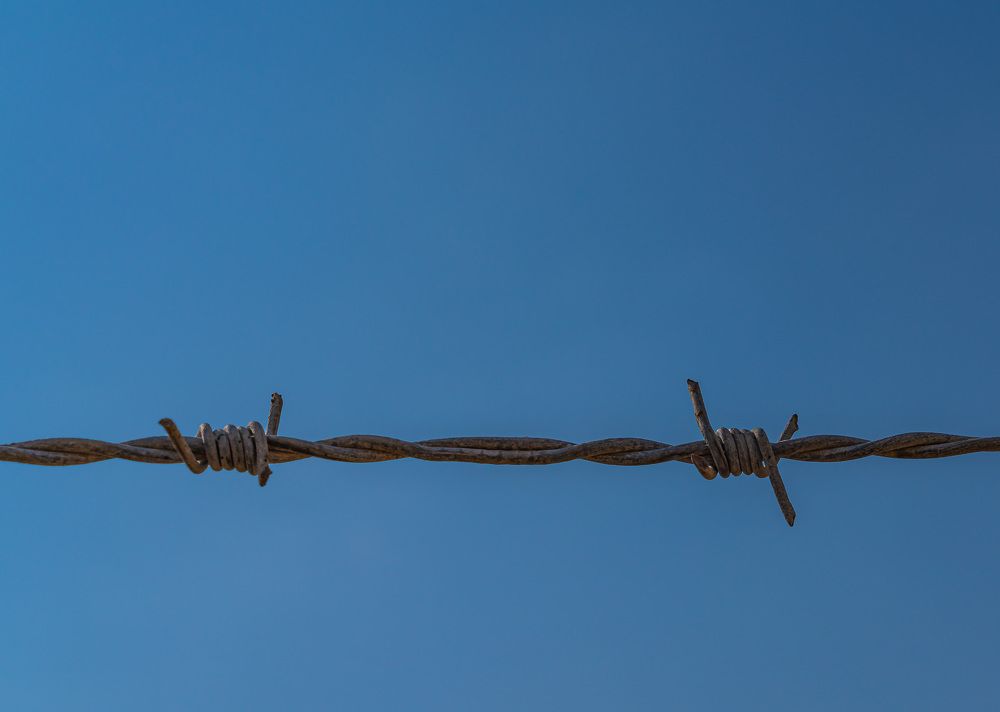 Photograph by Artur Tsvaygenbaum