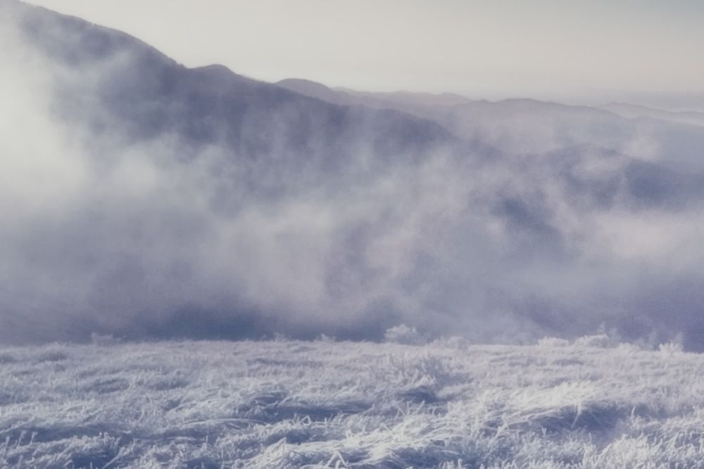 Photograph by Roman Popov