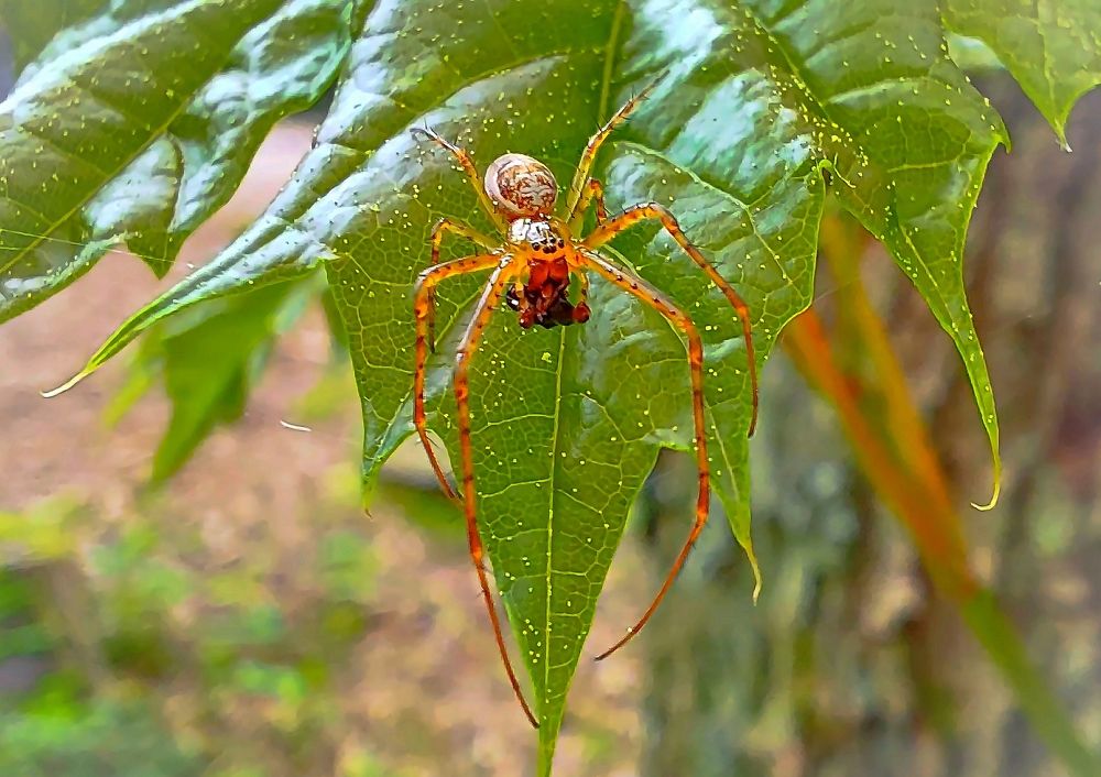 Photograph by Epp Tappel