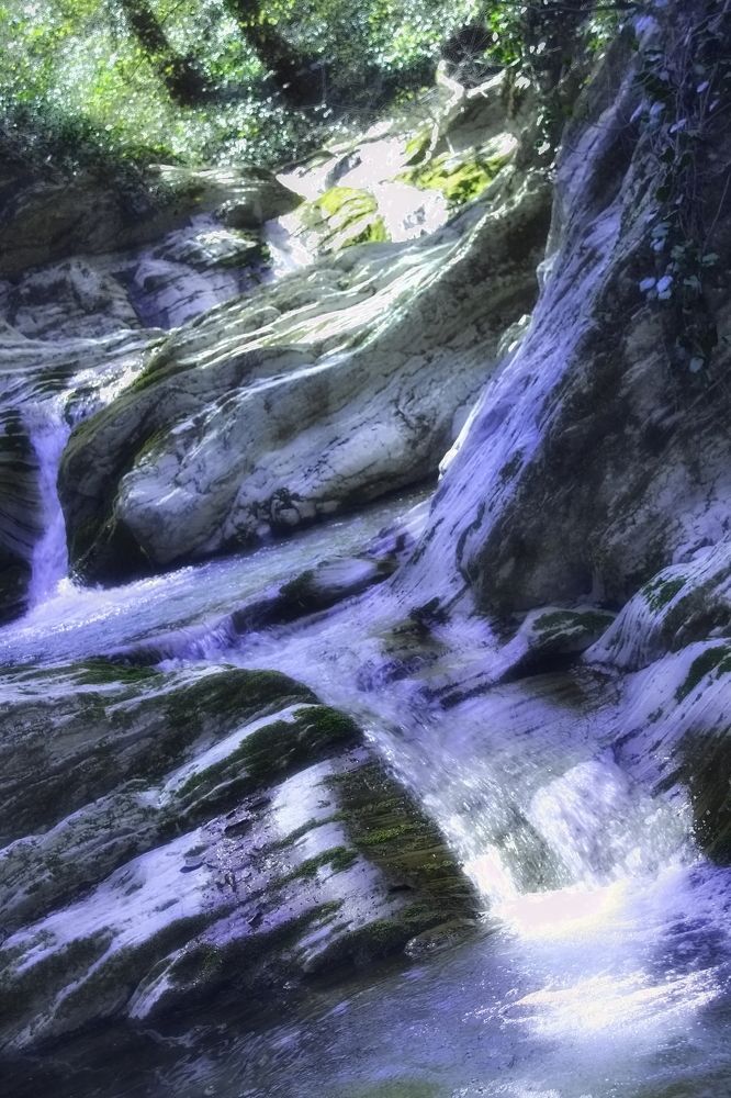 Photograph by Roman Popov