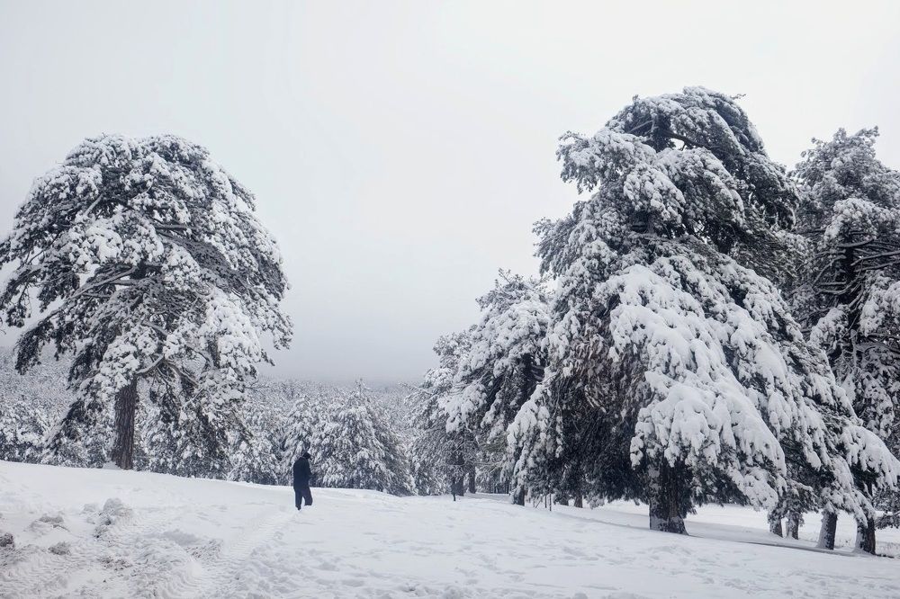 Photograph by Eylem barış