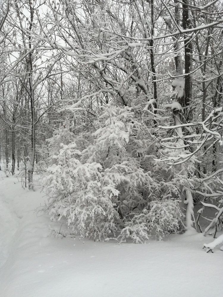 Photograph by Ольга Мокрова