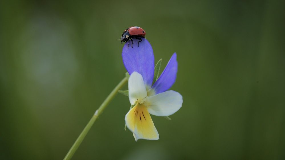 Photograph by Дмитрий