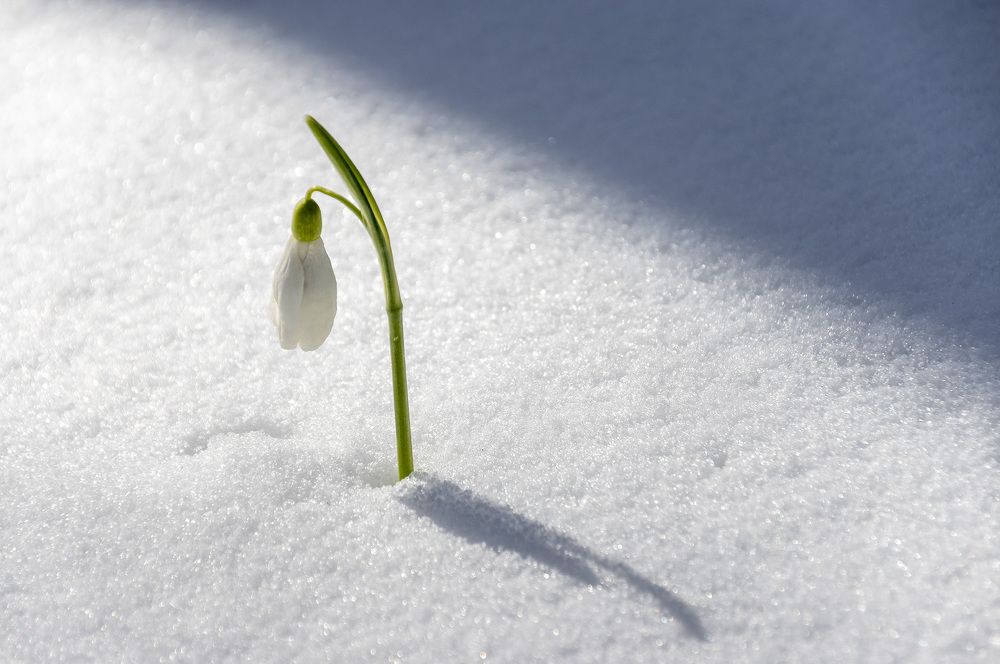 В одиночестве