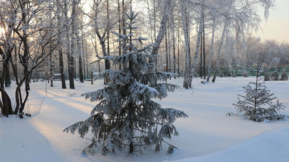 Photograph by Алла