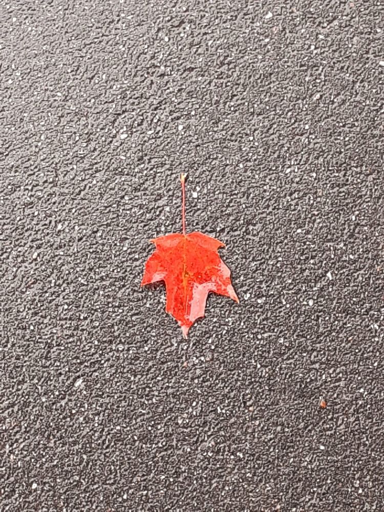 Photograph by Евгения Ульянова