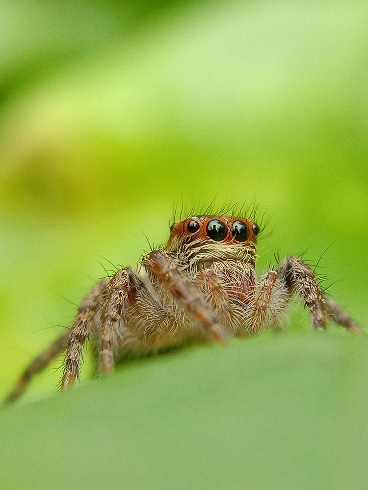 Photograph by Subhajit Jana