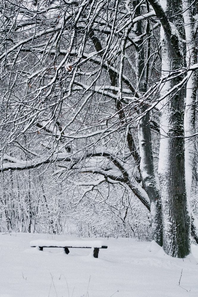 Photograph by Юлия Брежнева