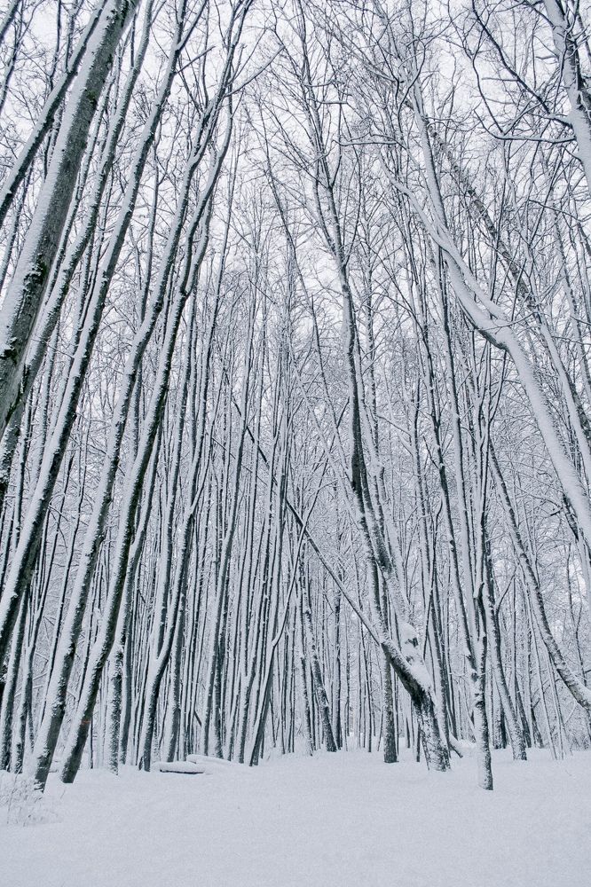 Photograph by Юлия Брежнева