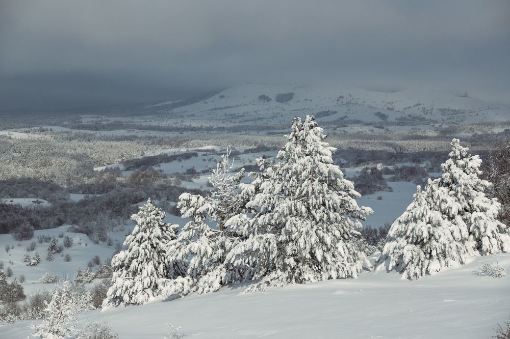 Photograph by Артём Корнев