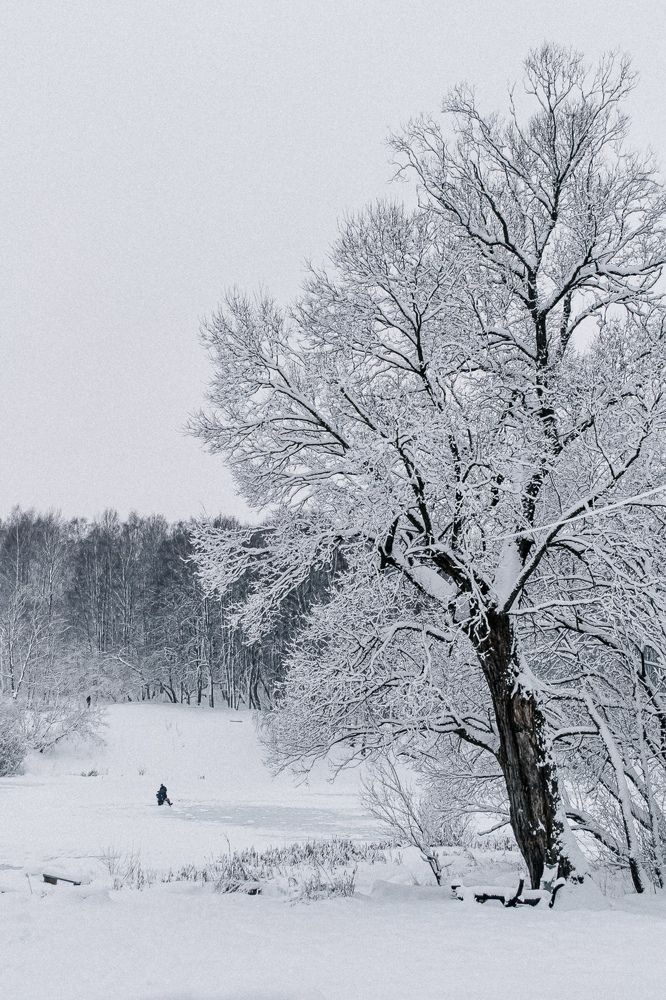 Photograph by Юлия Брежнева