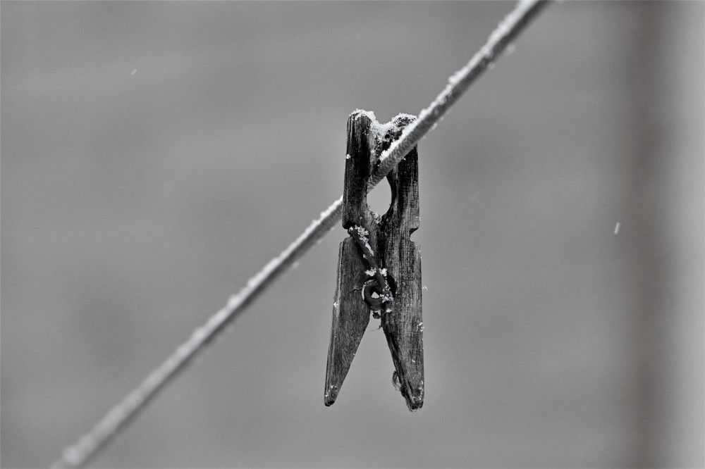 Photograph by IRINA FILIPPOVA