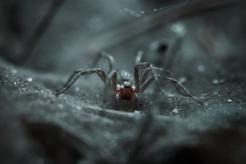 Photograph by Артём Корнев