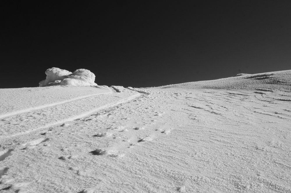 Photograph by Любомир Василев