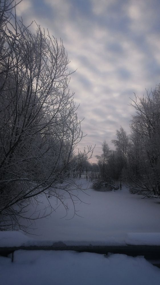 Photograph by Анна Петрова