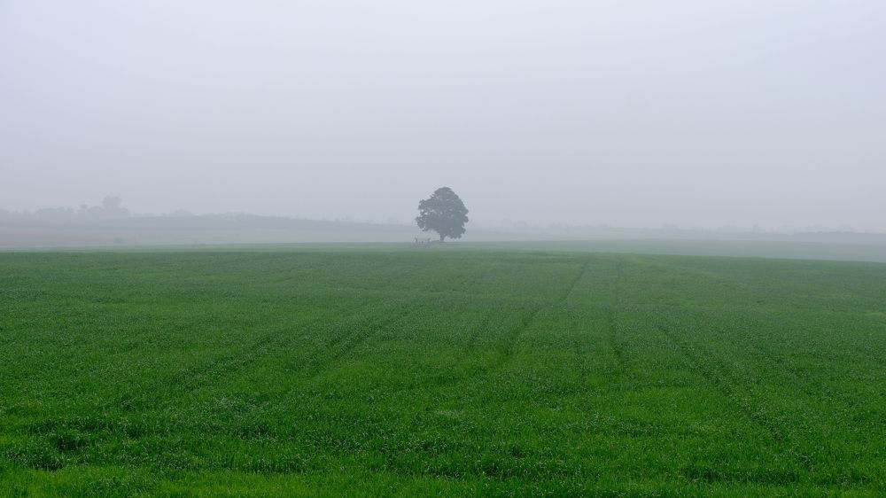 Фотография автора Dmitry