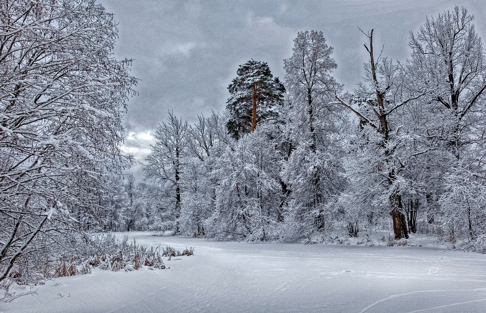 После снегопада.
