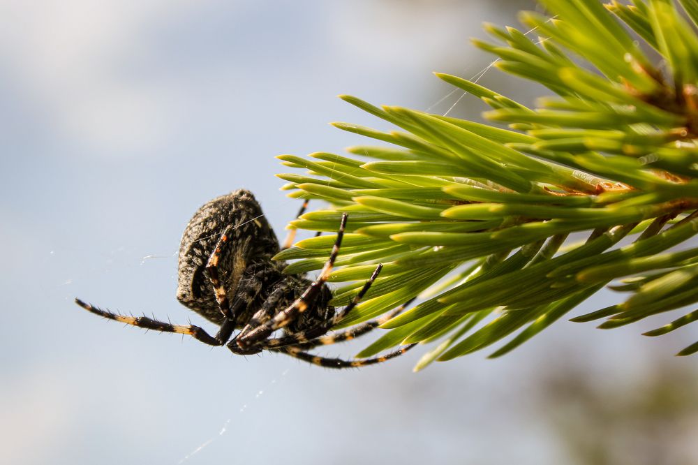 Photograph by Герман