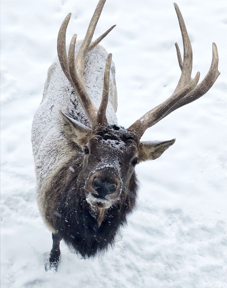 Photograph by Елена Никитенко