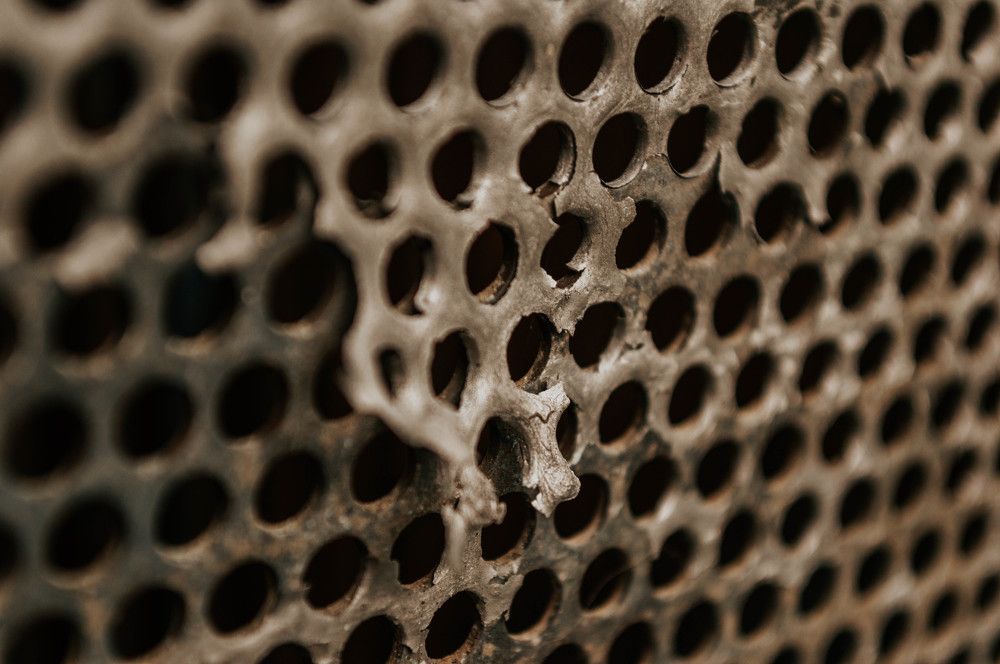 Photograph by Анна Петрова