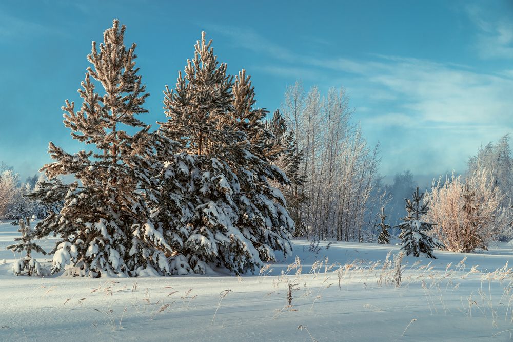 Photograph by Вадим Видяйкин