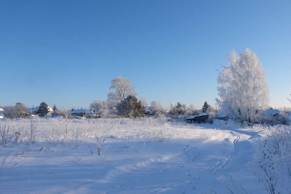 Фотография автора Наталья Липовская