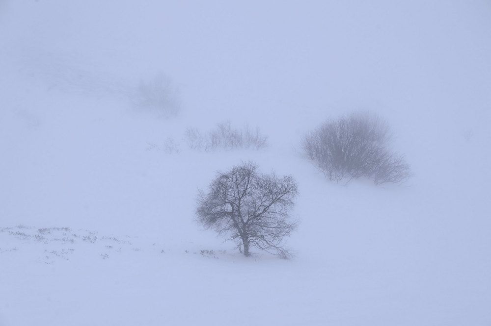 Photograph by Одинцов Валерий