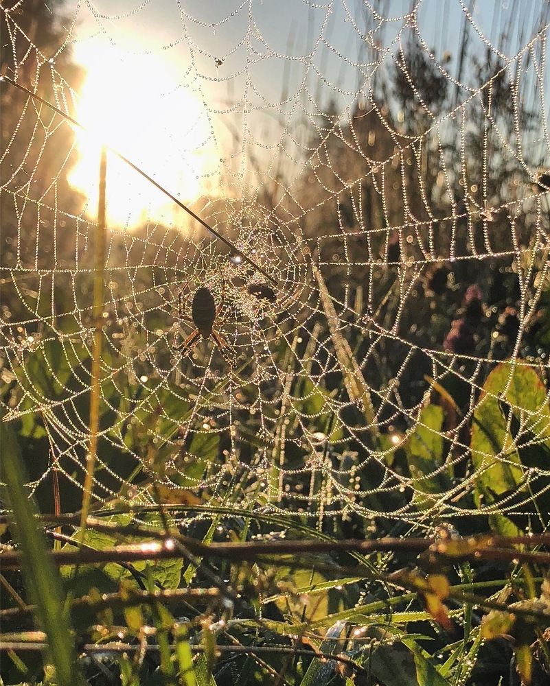 Photograph by Лариса